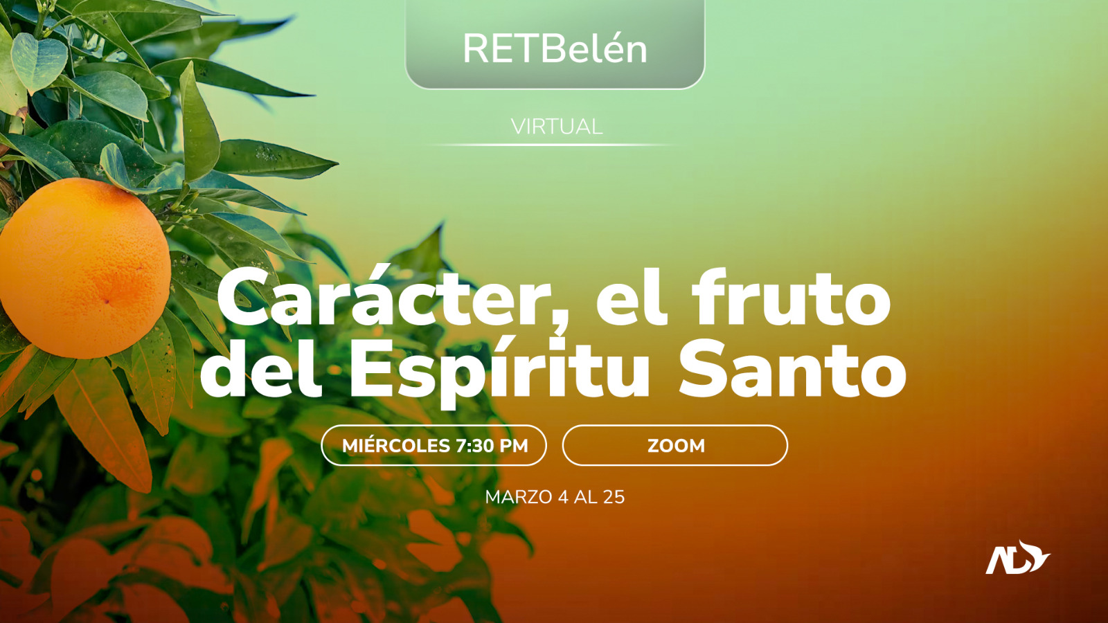 WhatsApp Image 2026-02-25 at 10.20.31 AM